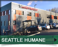 Seattle Humane, Bellevue, WA